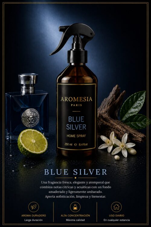 HS Blue Silver